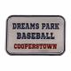 DREAMS PARK BASEBALL LOGO PIN